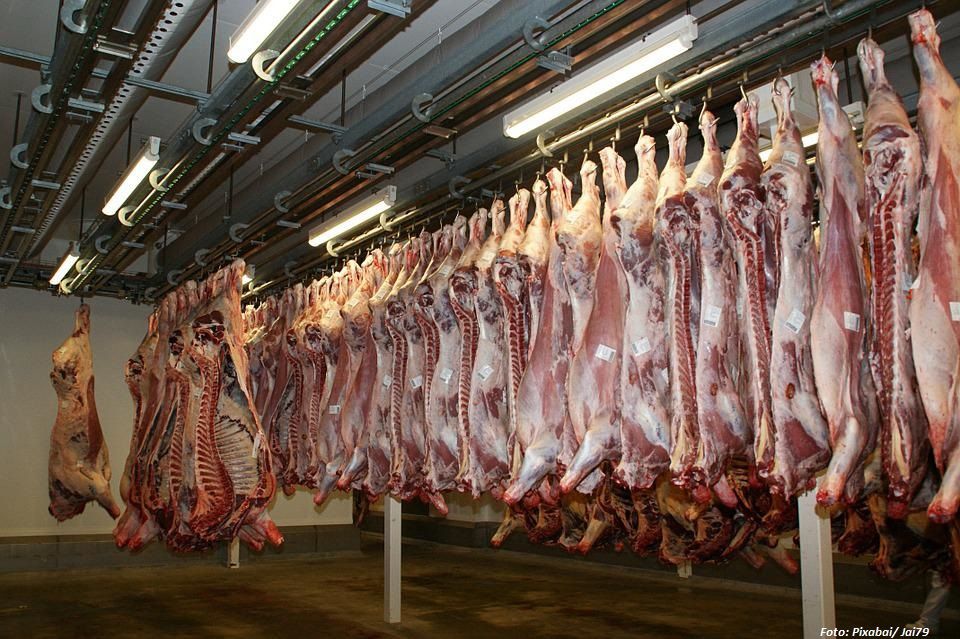 Kasachstan exportierte Fleisch im Wert von 118,3 Millionen US-Dollar